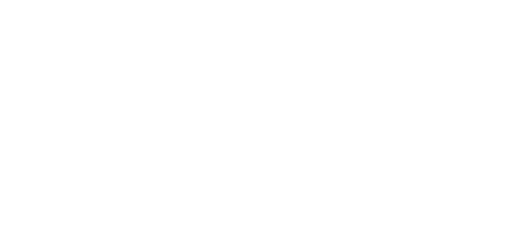 RTI - Riverside Technologies Inc.